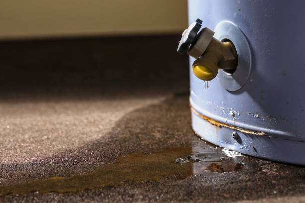 Best Carpet water damage restoration  in Longview, WA