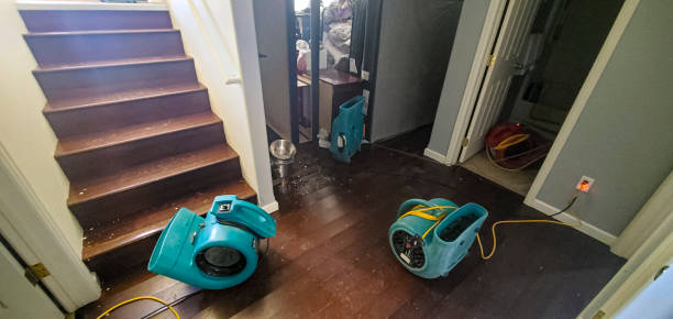 Best Water damage restoration company  in Longview, WA