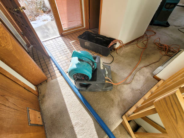 Best Water damage restoration services  in Longview, WA