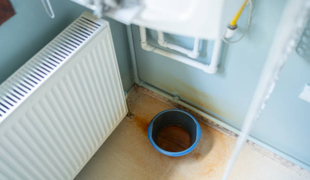 Best Water damage contractors near me  in Longview, WA